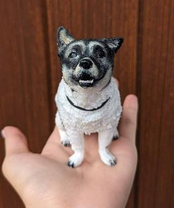 dịch vụ thú cưng