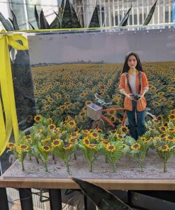 giỏ quà tết may tre đan